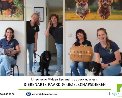 Dierenartsenpraktijk Vacature: Dierenarts Paard & Gezelschapsdieren