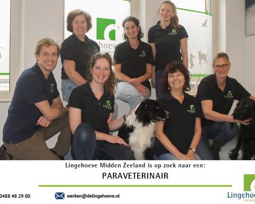 Dierenartsenpraktijk Vacature: Paraveterinair